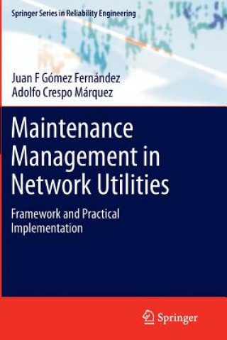 Carte Maintenance Management in Network Utilities Juan F Gómez Fernández