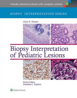 Kniha Biopsy Interpretation of Pediatric Lesions Aliya N Husain