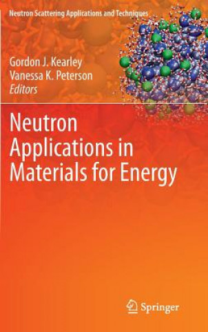 Kniha Neutron Applications in Materials for Energy Don Kearly