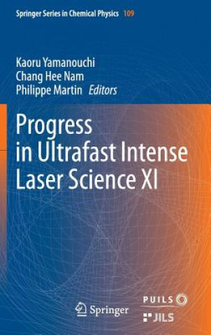 Könyv Progress in Ultrafast Intense Laser Science XI Kaoru Yamanouchi
