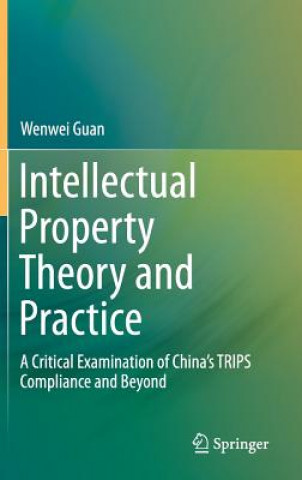 Kniha Intellectual Property Theory and Practice Wenwei Guan