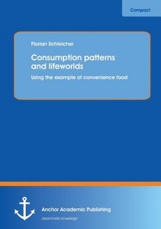 Carte Consumption patterns and lifeworlds Florian Schleicher