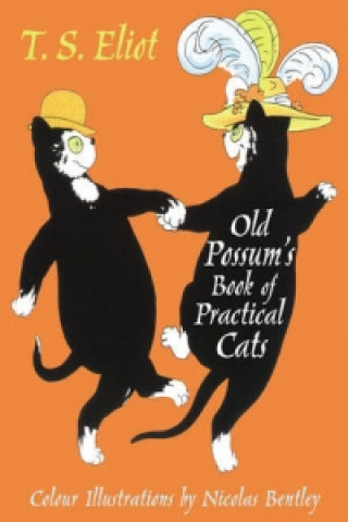 Könyv Illustrated Old Possum Thomas Stearns Eliot
