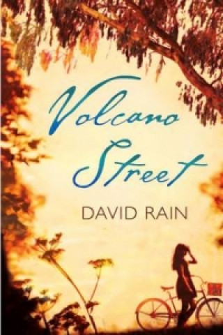 Book Volcano Street David (Author) Rain