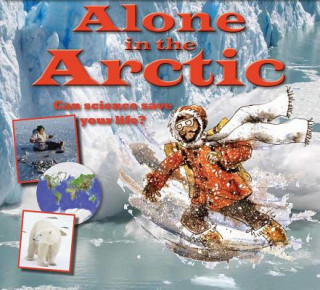 Könyv Alone in the Arctic Gerry Bailey