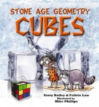 Kniha Stone Age Geometry Cubes Gerry Bailey