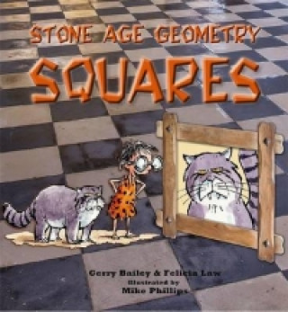 Livro Stone Age Geometry Squares Gerry Bailey