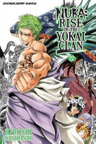 Książka Nura: Rise of the Yokai Clan, Vol. 22 Hiroshi Shiibashi