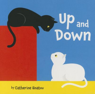 Kniha Up and Down Hnatov Catherine