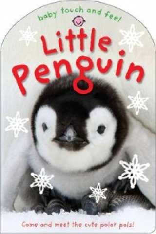 Kniha Little Penguin Roger Priddy