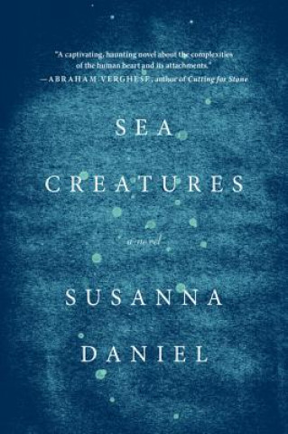 Buch Sea Creatures Susanna Daniel