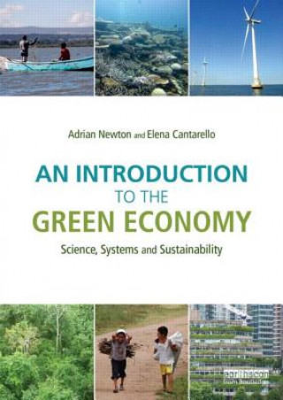 Книга Introduction to the Green Economy Adrian C Newton