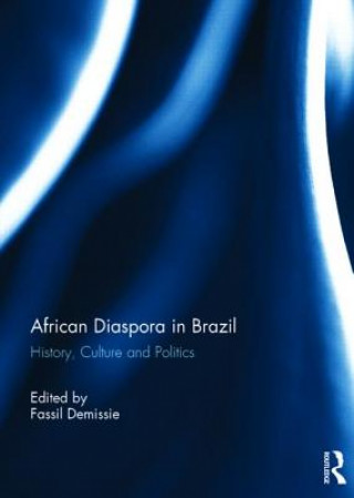Könyv African Diaspora in Brazil Fassil Demissie