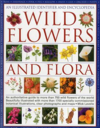 Buch Illustrated Identifier and Encyclopedia: Wild Flowers and Flora Michael Lavelle