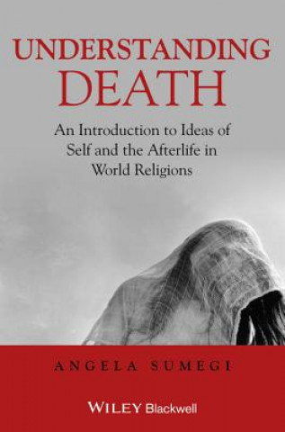 Carte Understanding Death - An Introduction to Ideas of Self and the Afterlife in World Religions Angela Sumegi