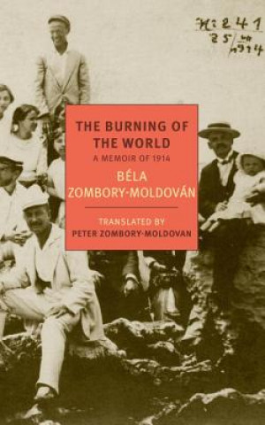 Knjiga Burning Of The World Bela Zombory-Moldovan