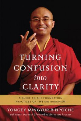 Kniha Turning Confusion into Clarity Yongey Mingyur