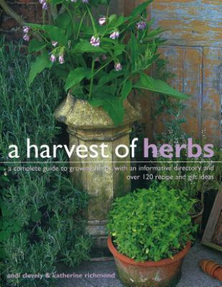 Livre Harvest of Herbs Andi Clevely