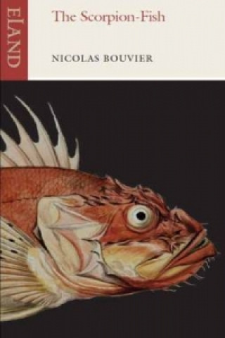 Könyv Scorpion-Fish Nicolas Bouvier