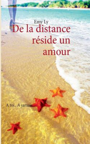 Kniha De la distance reside un amour Emy Ly