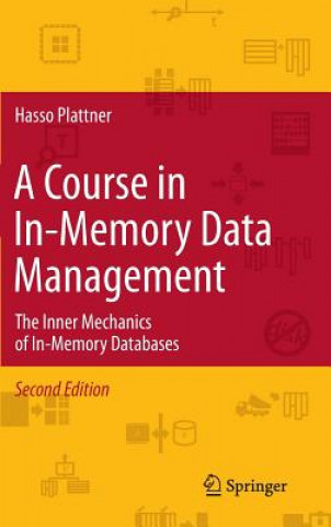 Könyv Course in In-Memory Data Management Hasso Plattner