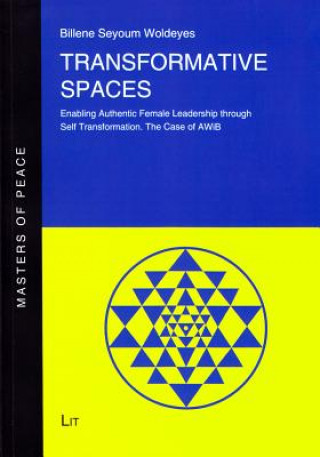 Knjiga Transformative Spaces Billene Seyoum Woldeyes