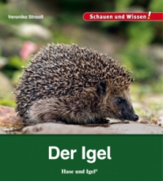 Book Der Igel Veronika Straaß