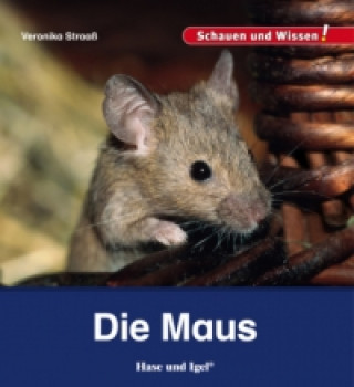 Könyv Die Maus Veronika Straaß