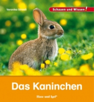 Könyv Das Kaninchen Veronika Straaß
