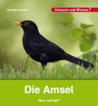 Kniha Die Amsel Veronika Straaß