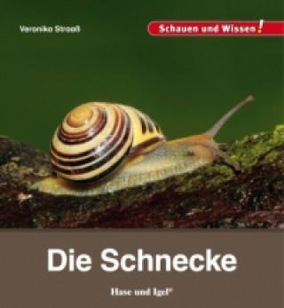 Könyv Die Schnecke Veronika Straaß