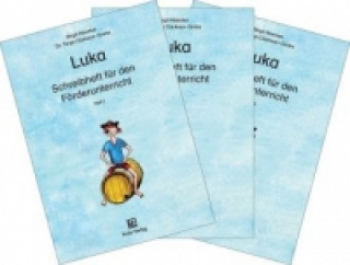 Kniha Schreibhefte für den Förderunterricht 1-3, 3 Hefte Birgit Haecker