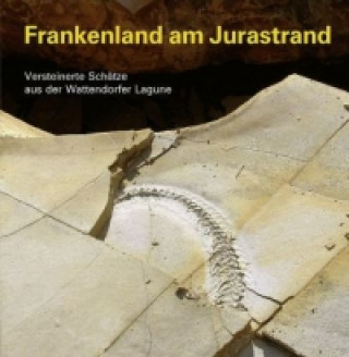 Kniha Frankenland am Jurastrand Matthias Mäuser