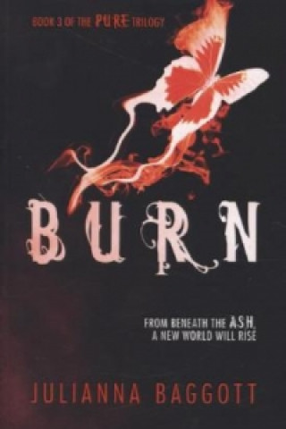 Kniha Burn Julianna Baggott