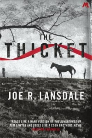 Книга Thicket Joe R. Lansdale