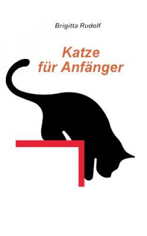 Carte Katze fur Anfanger Brigitta Rudolf