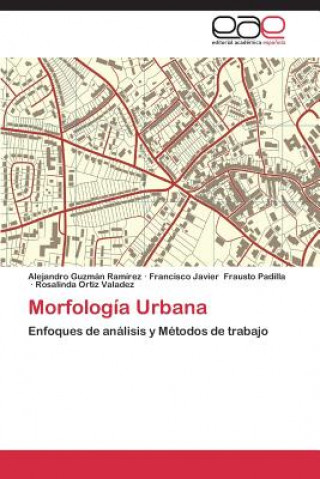 Carte Morfologia Urbana Alejandro Guzmán Ramírez