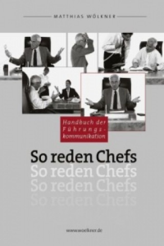 Knjiga So reden Chefs Matthias Wölkner