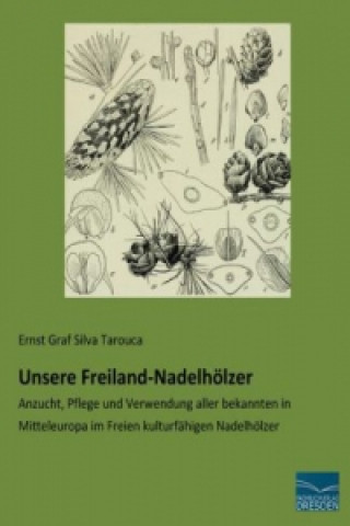 Książka Unsere Freiland-Nadelhölzer Ernst Graf Silva Tarouca