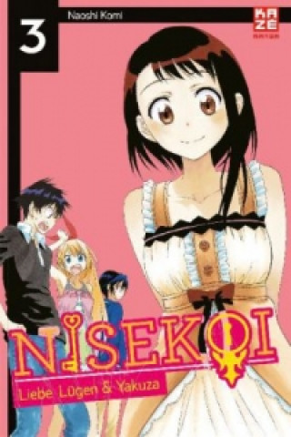 Kniha Nisekoi 03 Naoshi Komi