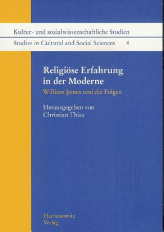 Book Religiöse Erfahrung in der Moderne Christian Thies