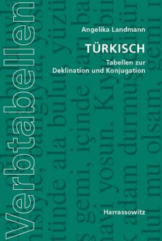Kniha Türkisch Angelika Landmann