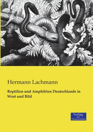 Carte Reptilien und Amphibien Deutschlands in Wort und Bild Hermann Lachmann