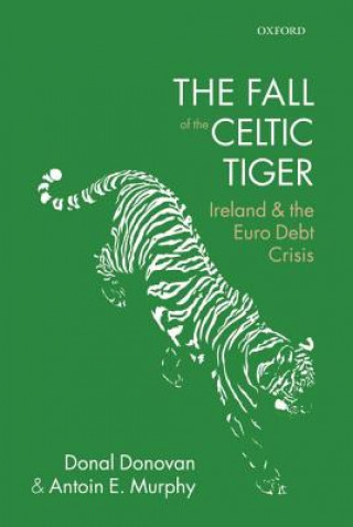Kniha Fall of the Celtic Tiger Donal Donovan