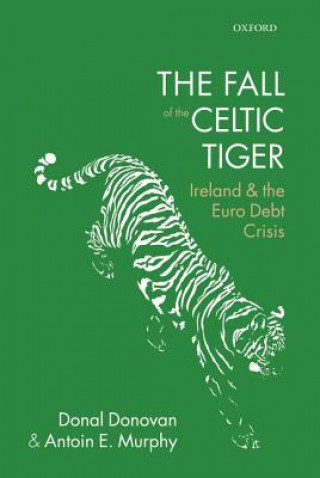 Livre Fall of the Celtic Tiger Donal Donovan