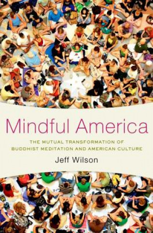 Könyv Mindful America Jeff Wilson