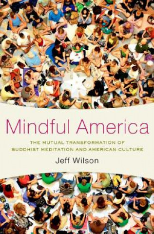 Carte Mindful America Jeff Wilson