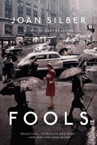 Kniha Fools Joan Silber