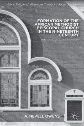 Kniha Formation of the African Methodist Episcopal Church in the Nineteenth Century A. Nevell Owens