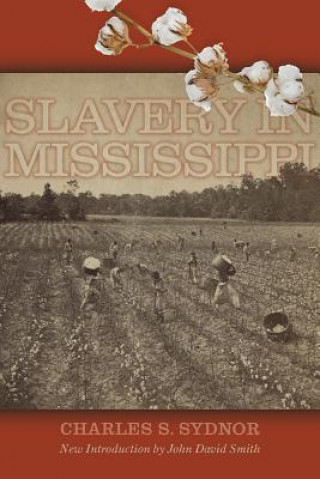 Carte Slavery in Mississippi Charles Sackett Sydnor